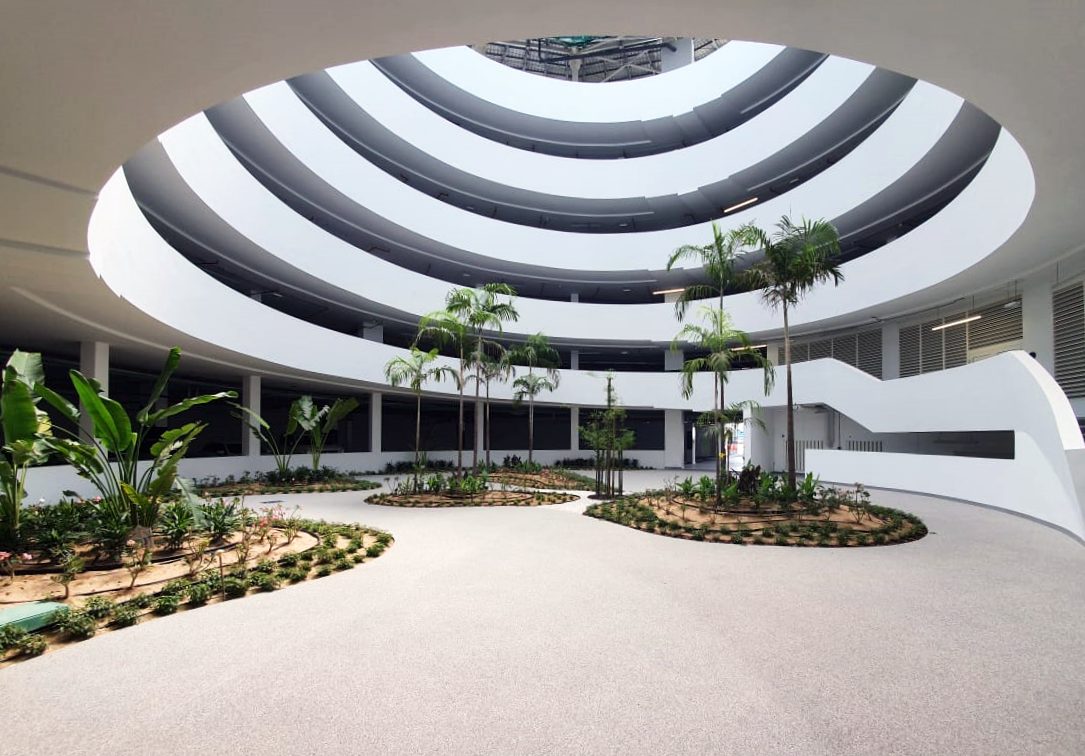 Patio interior con pavimento Resineo claro, palmeras y arquitectura moderna